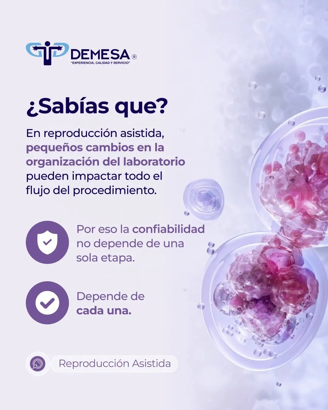 Ejemplo de publicación para redes sociales